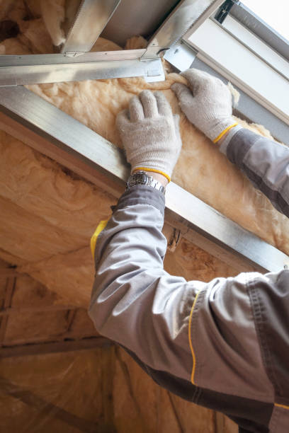 Best Cellulose Insulation in Hanover Park, IL